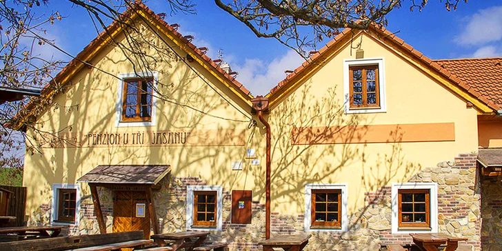 Dvě vepřová kolena z grilu s pečivem, okurkou a křenem