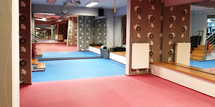 Sebeobrana pro každého: 1 nebo 4 individuální lekce v délce 60 min.