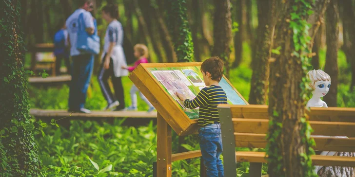 Wellness pobyt v lázeňském městě Zalakaros: neomezeně sauna, bazén a polopenze
