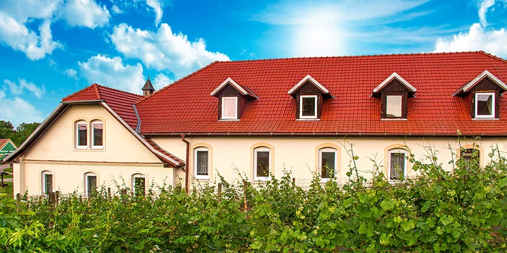 Pobyt na jižní Moravě: snídaně nebo polopenze, wellness a návštěva Louckého kláštera s ochutnávkou vína
