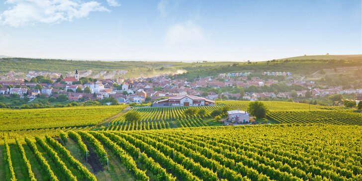 Za tajemstvím Lichtenštejnů a vína: pobyt u Valtic s polopenzí i programem