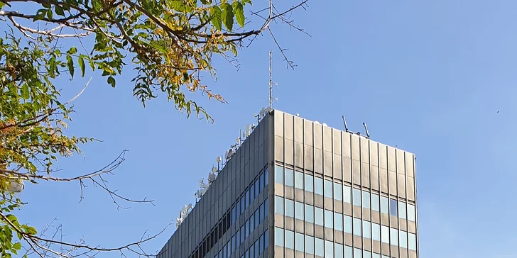 Anglicky 4x rychleji: 4měsíční kurz angličtiny Callanovou metodou