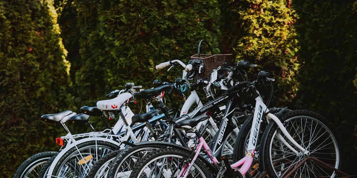 Pobyt nedaleko Egeru: wellness centrum s léčivou vodou, termální koupaliště, polopenze a zábava