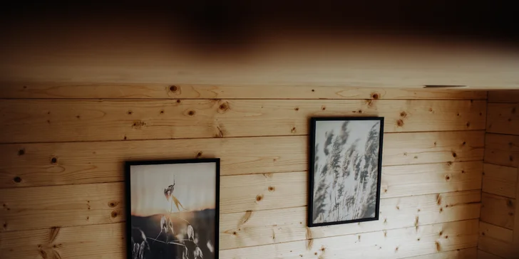 Glamping na vysoké úrovni: ubytování i snídaně v moderním domku na Vysočině