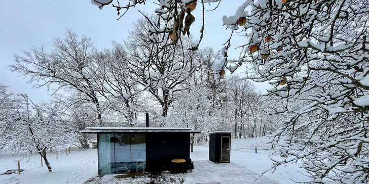 Minimalistický tiny house uprostřed přírody: soukromá sauna i grilovací stůl