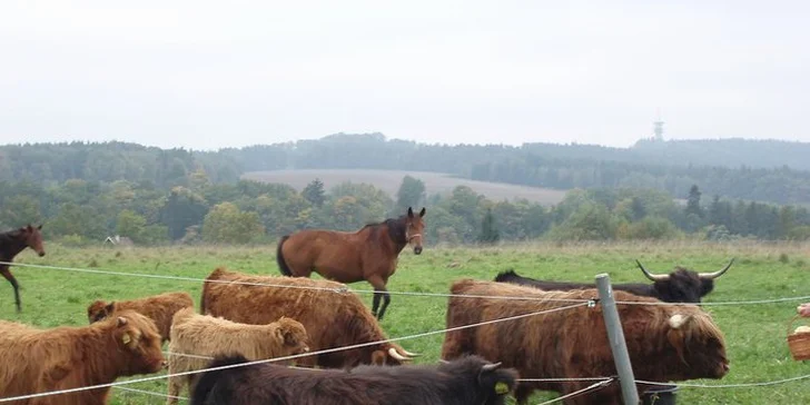 Třídenní relax a pohoda v Chebu pro dva