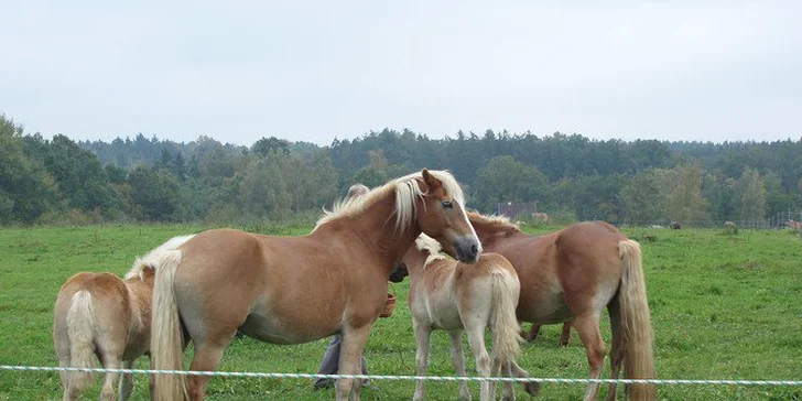 Třídenní relax a pohoda v Chebu pro dva