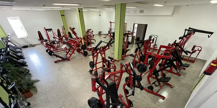 Až 5 časově neomezených vstupů do moderního fitness Mikys Gym