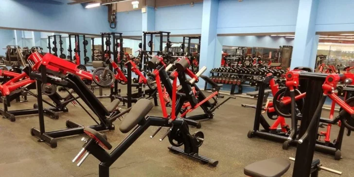 Top Fitness: jeden vstup či měsíční permanentka a lekce od trenéra