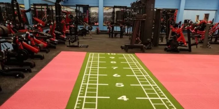 Top Fitness: jeden vstup či měsíční permanentka a lekce od trenéra