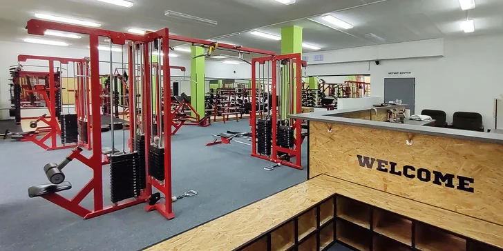 Až 5 časově neomezených vstupů do moderního fitness Mikys Gym