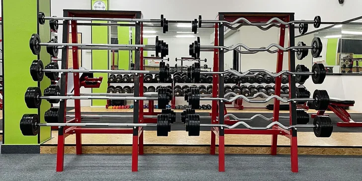 Až 5 časově neomezených vstupů do moderního fitness Mikys Gym
