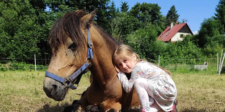 Vyjížďka na koni či poníkovi: 25 nebo 50 min. jízdy v přírodě pro 1 osobu