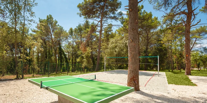 Stolní tenis je tu pro vás zdarma. 