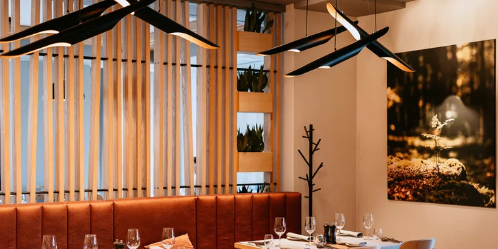 Voucher až na 500 PLN na cokoliv v moderní restauraci Vislow Resort ve Visle