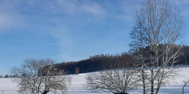 Parádní pobyt kousek od Konopiště: polopenze, aktivity i privátní wellness