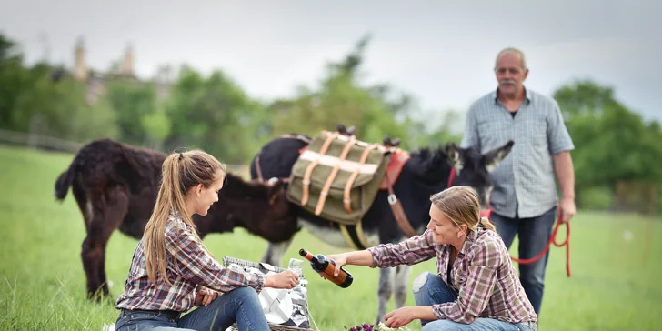Piknik s oslíkem v přírodě... co může byt roztomilejší...