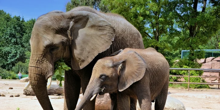 3* hotel v Bojnicích: jídlo i možnost vstupu do Zoo či vyhlídkovou věž