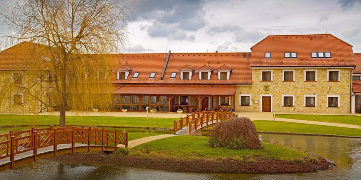 Královské lenošení s polopenzí, volným vstupem do wellness i zmrzlinou