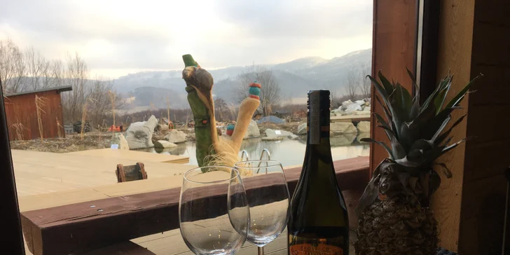 Privátní wellness se saunami, koupacím sudem i relaxací v šungitové místností a občerstvením