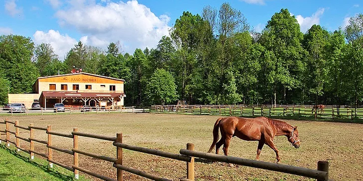 Zážitky na ranči v Beskydech až pro 4 osoby: strava, privátní wellness, masáž i prohlídka ranče