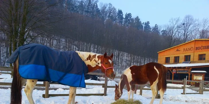 Zážitky na ranči v Beskydech až pro 4 osoby: polopenze, privátní wellness, masáž i prohlídka ranče