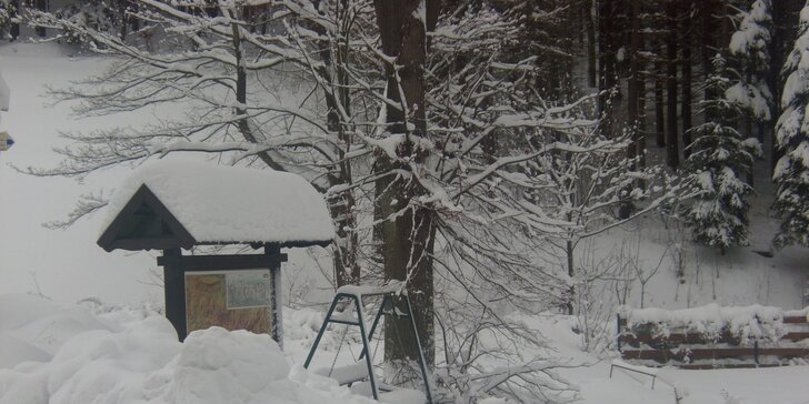 Zimní pobyt v Krkonoších pro 2 na 2 noci s polopenzí na stylové horské chatě Ozon