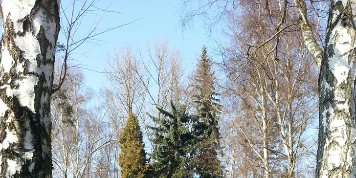 V létě se můžete zchladit ve stínu vzrostlých stromů.