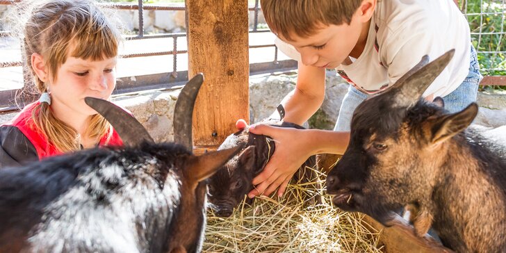 Pobyt na rodinné farmě plné zvířátek: polopenze, masáž i prohlídka a krmení