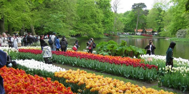 Do Holandska z Moravy: rozkvetlý park Keukenhof, květinové korzo i návštěva Amsterdamu