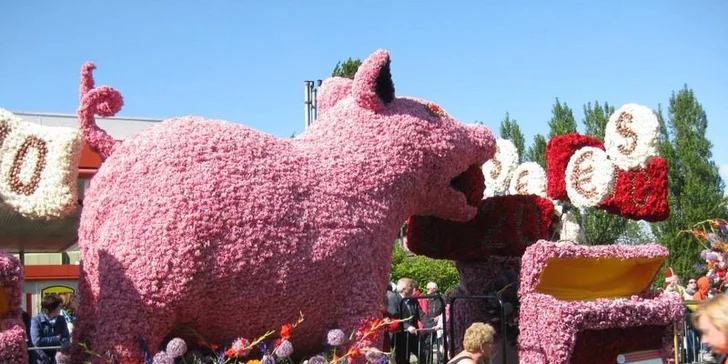 Do Holandska z Moravy: rozkvetlý park Keukenhof, květinové korzo i návštěva Amsterdamu