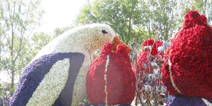 Do Holandska z Moravy: rozkvetlý park Keukenhof, květinové korzo i návštěva Amsterdamu