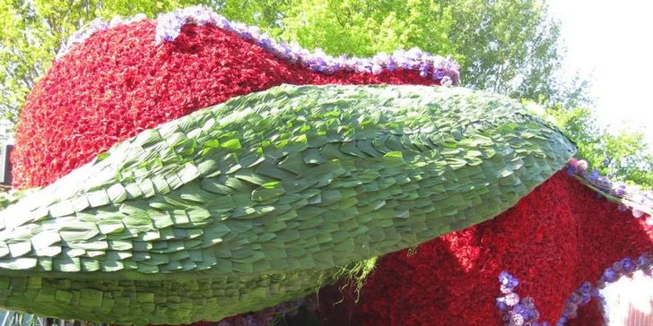 Do Holandska z Moravy: rozkvetlý park Keukenhof, květinové korzo i návštěva Amsterdamu