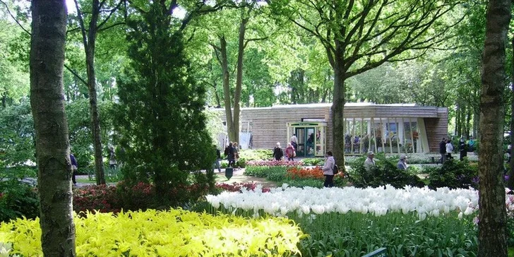 Do Holandska z Moravy: rozkvetlý park Keukenhof, květinové korzo i návštěva Amsterdamu