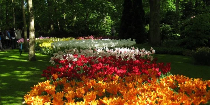 Do Holandska z Moravy: rozkvetlý park Keukenhof, květinové korzo i návštěva Amsterdamu