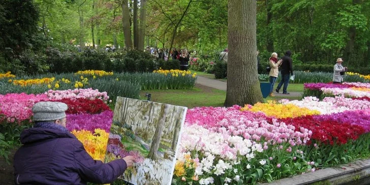 Do Holandska z Moravy: rozkvetlý park Keukenhof, květinové korzo i návštěva Amsterdamu