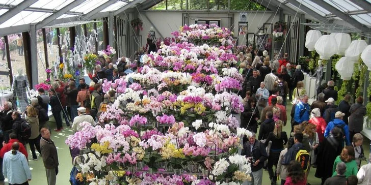 Do Holandska z Moravy: rozkvetlý park Keukenhof, květinové korzo i návštěva Amsterdamu