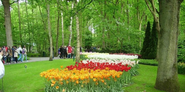 Do Holandska z Moravy: rozkvetlý park Keukenhof, květinové korzo i návštěva Amsterdamu