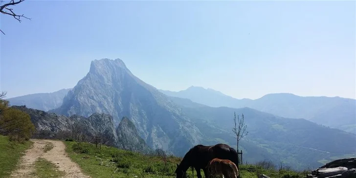 Desetidenní zájezd do Španělska: Kantábrie a Baskicko, moderní bus a ubytování se snídaní