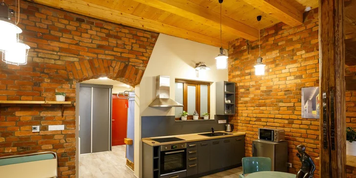 Pobyt pod Orlickými horami: jedno ze 7 designových apartmá, snídaně