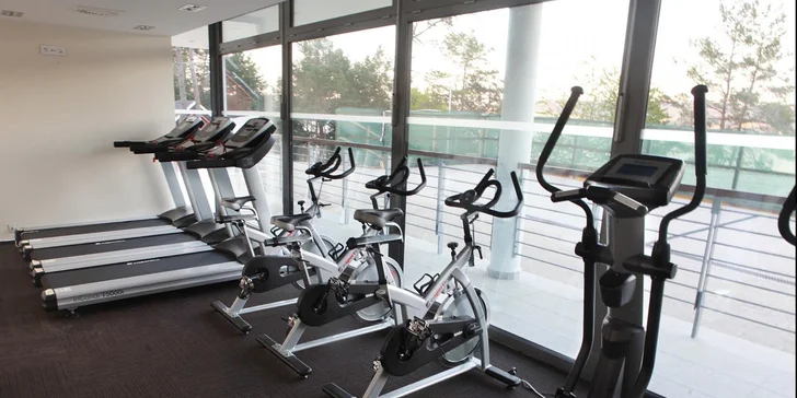 Pobyt na východě Slovenska pod Karpaty: neomezený wellness a fitness, polopenze, komfortní apartmány