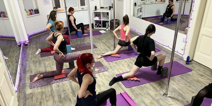 Vyzkoušejte sporty, které skloubí tanec, fitness a akrobacii! Pole dance a Aerial hoop v Ostravě