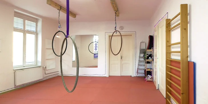 Vyzkoušejte sporty, které skloubí tanec, fitness a akrobacii! Pole dance a Aerial hoop v Ostravě