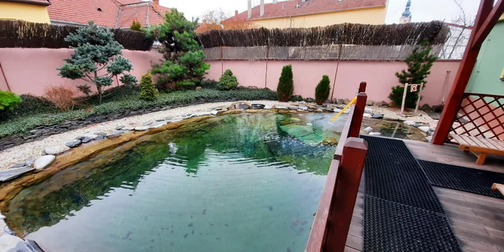 Vstup na 90 min. do wellness: finské sauny, odpočívárna a biotop