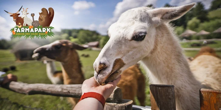 Vstupné na víkendové akce ve Farmaparku: celodenní program, vystoupení, známé osobnosti, zvířátka, atrakce