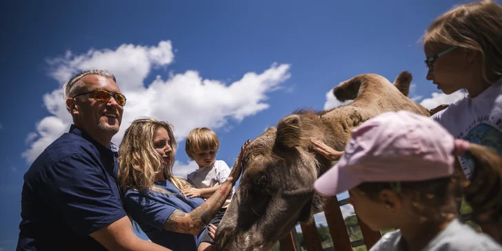 Celodenní vstup do Farmaparku včetně všech atrakcí a kyblík krmení nebo plyšák