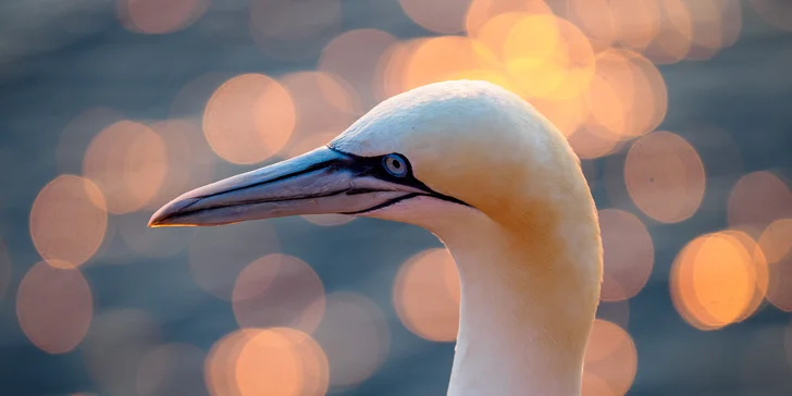 Naučte se fotit: celodenní workshop s profesionálním fotografem