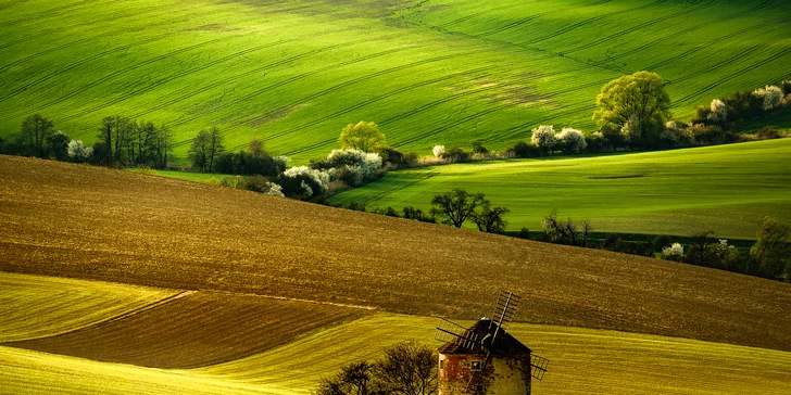Naučte se fotit: celodenní workshop s profesionálním fotografem