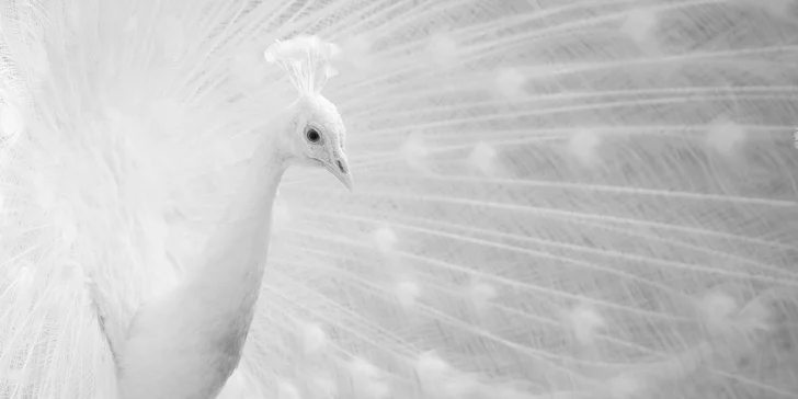 Naučte se fotit: celodenní workshop s profesionálním fotografem