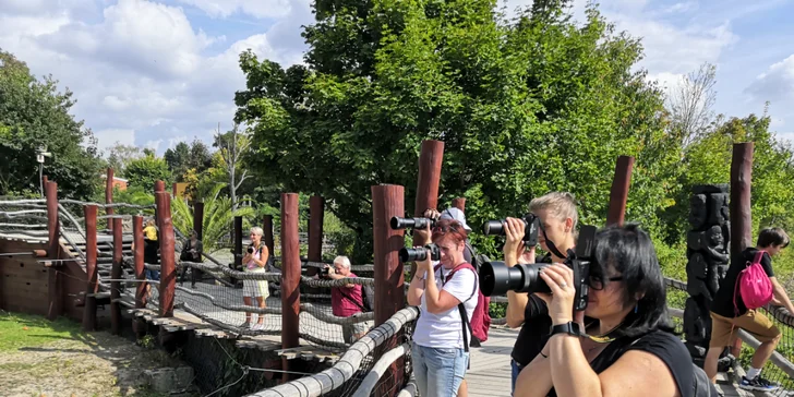 Fotografický kurz v 6 různých zoo pro začátečníky i pokročilé